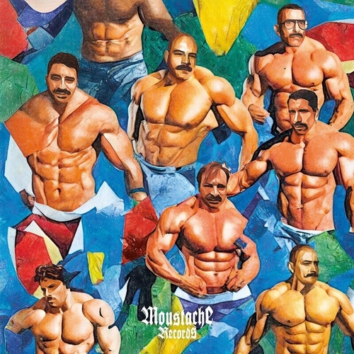 VA - You Can Trust a Man with a Moustache Vol.5 [MST049]